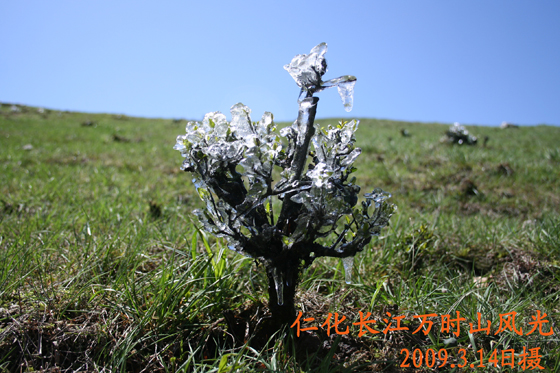 韶关万时山大草原风景照片欣赏