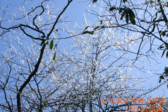 韶关仁化万时山大草原风景欣赏