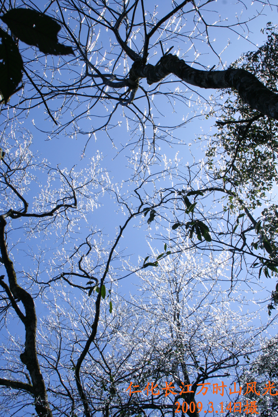 韶关仁化万时山大草原风景欣赏