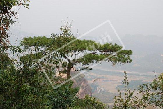 梧州藤县石表山风景区