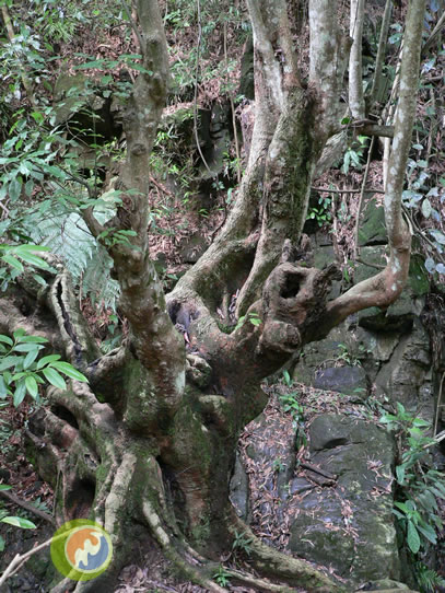 梧州藤县蝴蝶谷漂流风景区