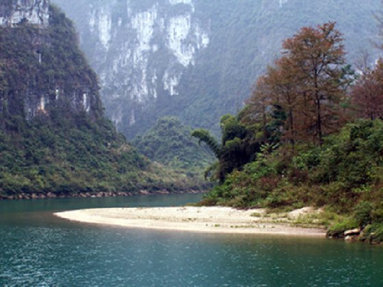 拉江红叶
