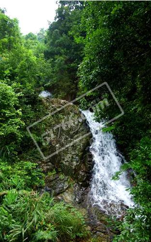 河池岑溪吉太天龙顶国家山地公园