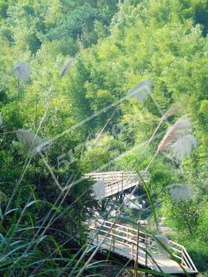 梧州大爽河生态旅游景区