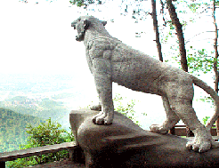 白鹤山景区