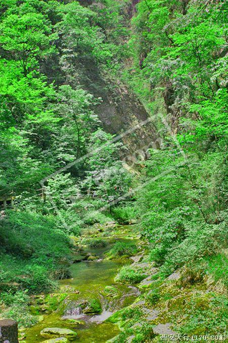 百色那坡老虎跳跨国大峡谷漂流