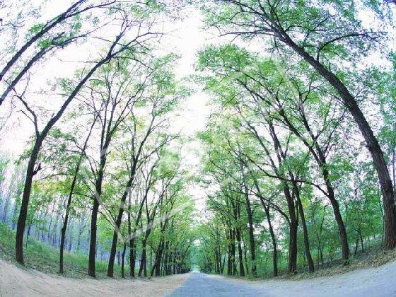 柳州沙塘森林公园