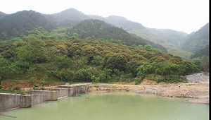 森林公园