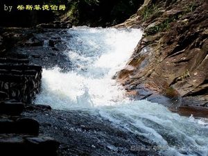 黄楮林温泉景区