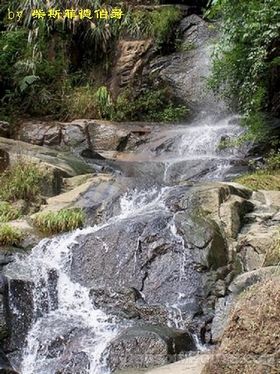 黄楮林温泉景区