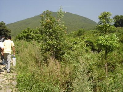 紫帽山风景