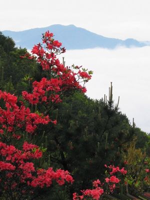 戴云山自然保护区