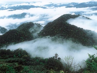 戴云山自然保护区
