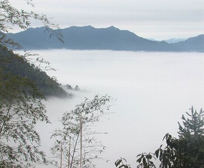 梅花山自然风景