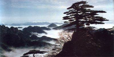 梅花山自然风景