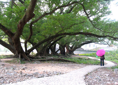 杨家溪风景区