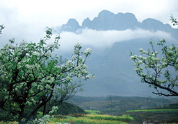 厦门五老峰