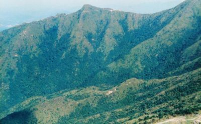 梁野山自然保护区