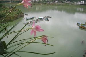 宁德翠屏湖