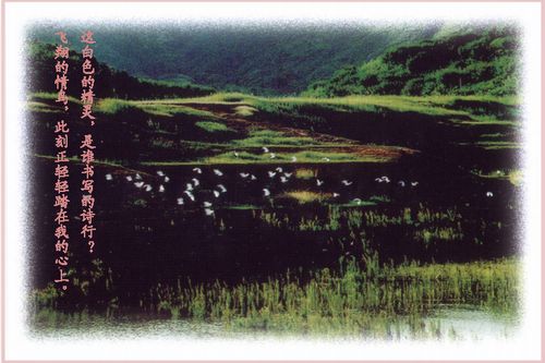 宁德翠屏湖