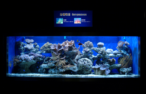 珊瑚海展区