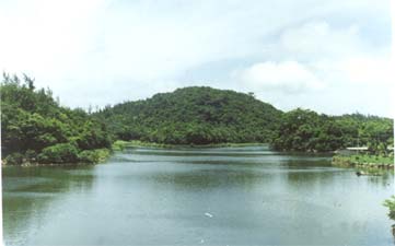 风情园景点