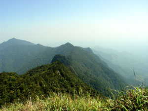 阿陀岭森林公园