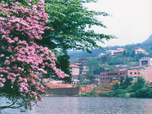 珍珠湖景区