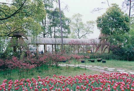 南山植物园