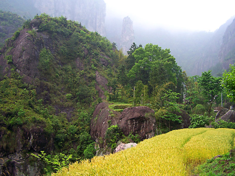 十二峰风景