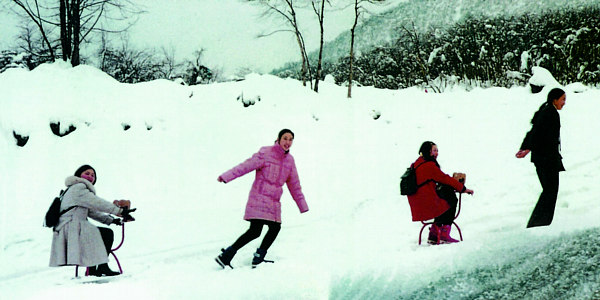 雪爬梨――我的“牛”