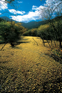 二道海景区