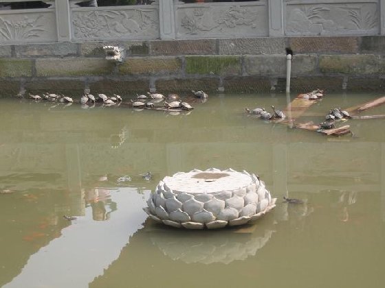 圣水寺--放生池