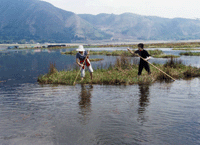 腾冲北海湿地保护