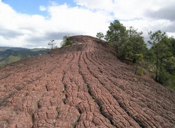 千龟山