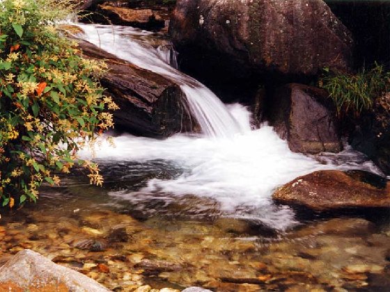 苍山溪水