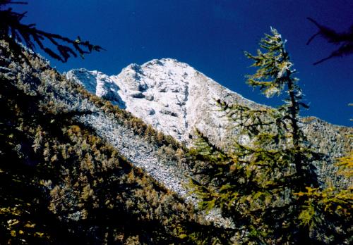 太白山雪峰