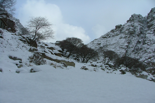 青 羊 冢、石 山 房、卧 驼 峰