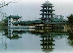 新都桂湖