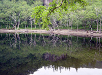 镜泊湖美景