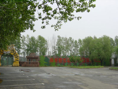 东北虎林园――“搞好野化训练,早日放虎归山”