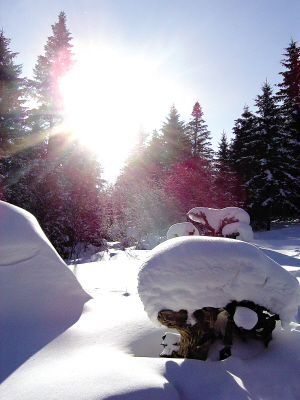 雪乡：雪中的乡景如诗如画