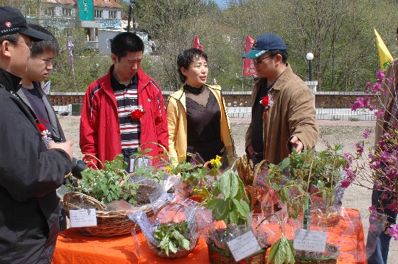 “春野菜”――春季山野菜风情游园活动