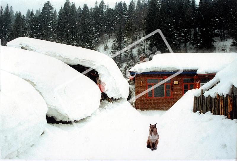 中国雪城----牡丹江