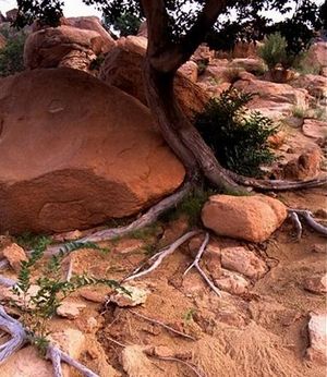 曼坨山庄